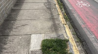 Árvores derrubadas e sem replantio - FREDERICO CARVALHO / VOZ DO LEITOR