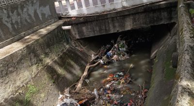 Tronco de árvore jogado dentro de canal em Casa Amarela - CLÁUDIA RANGEL / VOZ DO LEITOR